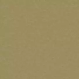 2S 1116 Обои Grandeco (2nd Skin) (1*12) 10,05х0,53 винил на флизе