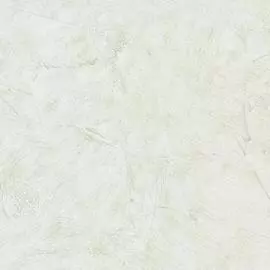 30581 Обои Limonta (Naturae II) (1*6) 10,05х0,53 винил на флизелине