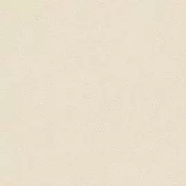 3448-3 Обои Erismann (Paradise 4) (1*6) 10,05x1,06 винил на флизелине