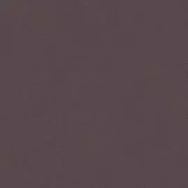 3448-8 Обои Erismann (Paradise 4) (1*6) 10,05x1,06 винил на флизелине