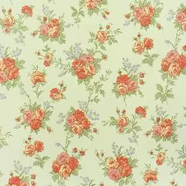 3561-6 Обои Erismann (Country Style) (1*9) 10.05х1.06 винил на флизе