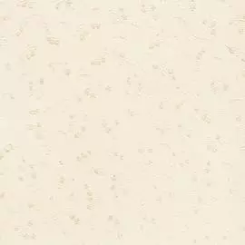 3563-2 Обои Erismann (Country Style) (1*9) 10.05х1.06 винил на флизе