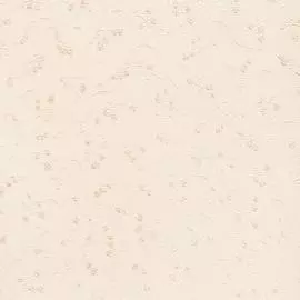 3563-3 Обои Erismann Country Style (Paradise 1) (1*9) 10.05х1.06 винил на флизе