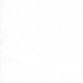 3596-8 Обои Erismann (Primavera) (1*6) 10,05x1,06 винил на флизелине