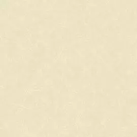 3795-2 Обои Erismann (Violetta) (1*6) 10,05x1,06 винил на флизелине