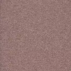 4081-5 Обои Erismann (Primavera) (1*6) 10,05x1,06 винил на флизелине