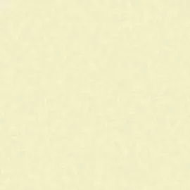 4329-2 Обои Erismann (Paradise 4) (1*6) 10,05x1,06 винил на флизелине