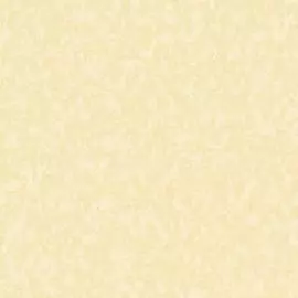 4329-6 Обои Erismann (Paradise 4) (1*6) 10,05x1,06 винил на флизелине