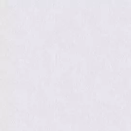 4568-5 Обои Erismann (Siena) (1*6) 10,05x1,06 винил на флизелине