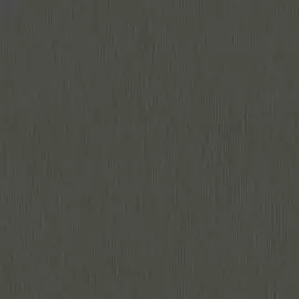 4596-7 Обои Erismann (Elegance) (1*6) 10,05x1,06 винил на флизелине