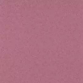 51160623 Обои Lutece (Couleurs Matieres) (1*12) 10,05x0,53 винил на флизелине