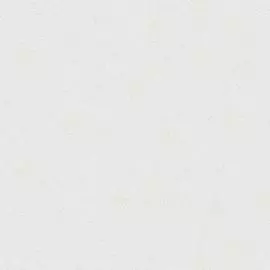 5226-10 Обои Erismann City Glam (Paradise 2) (1*6) 10,05x1,06 винил на флизелине