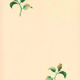 52714 Обои Limonta (Gardena) (1*12) 10,05x0,53 винил на бумаге