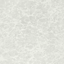 5563 Обои Zambaiti (Trussardi II) (1*6) 10,05x0,70 винил на бумаге