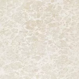 5572 Обои Zambaiti (Trussardi II) (1*6) 10,05x0,70 винил на бумаге