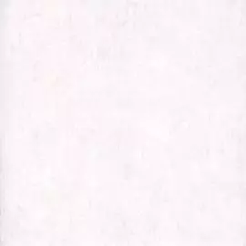 575007 Обои (Paris/Chambord) (1*6) 10,05x1,06 винил на флизелине