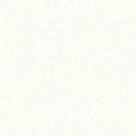 59645 Обои Marburg (Loft 106) (1*6) 10,05x1,06 винил на флизелине