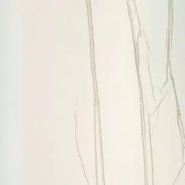 63327 Обои Marburg (Crush Noble Walls) (1*6) 10,05x0,75 винил на флизе