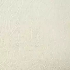 9410 Обои Marburg (Patent Decor) 10,05x0,53 (1*12)винил на флизе