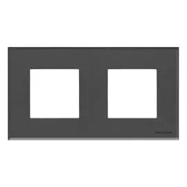 ABB NIE Zenit Стекло графит Рамка 2-я 2+2 мод