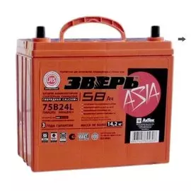 Аккумулятор Зверь (ЗВА) 58АЗ п.п. 75B24R