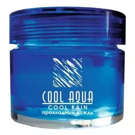 ароматизатор на приборную панель cool aqua прохладный дождь са-14