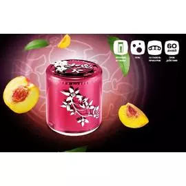 Ароматизатор воздуха на жидкой основе CARORI "Персик"(c пробником) Z-1468