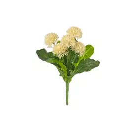 Бархатцы 5цв на ветке белый