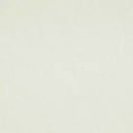 BN 17124 Обои BN (Van Gogh) (1*12) 10,05х0,53 винил на флизе