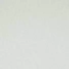 BN 17128 Обои BN (Van Gogh) (1*12) 10,05х0,53 винил на флизе