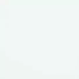 BN 17285 Обои BN (Glassy) (1*12) 10,05x0,53 винил на флизелине