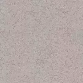 BN 17311 Обои BN (Moods) (1*12) 10,05x0,53 винил на флизе