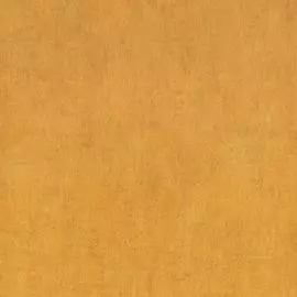 BN 17400 Обои BN (Pure Passion) (1*12) 10,05x0,53 флизелин