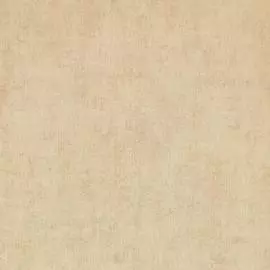 BN 17401 Обои BN (Pure Passion) (1*12) 10,05x0,53 флизелин