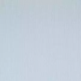 BN 17410 Обои BN (Pure Passion) (1*12) 10,05x0,53 флизелин