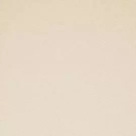 BN 17441 Обои BN (Pure Passion) (1*12) 10,05x0,53 флизелин