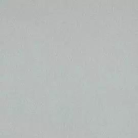 BN 17574 Обои BN (Denim) (1*12) 10,05х0,53 винил на флизе