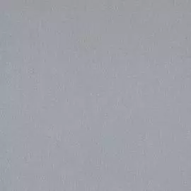 BN 17579 Обои BN (Denim) (1*12) 10,05х0,53 винил на флизе