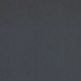 BN 17581 Обои BN (Denim) (1*12) 10,05х0,53 винил на флизе