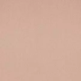 BN 17585 Обои BN (Denim) (1*12) 10,05х0,53 винил на флизе