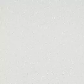 BN 17610 Обои BN (Denim) (1*12) 10,05х0,53 винил на флизе