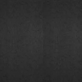 BN 17821 Обои BN (Dutch Masters) (1*12) 10,05x0,53 винил на флизе