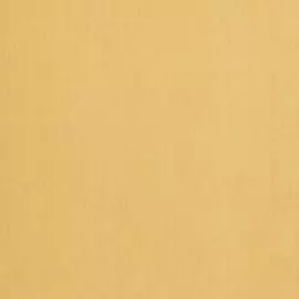 BN 17833 Обои BN (Dutch Masters) (1*12) 10,05x0,53 винил на флизе