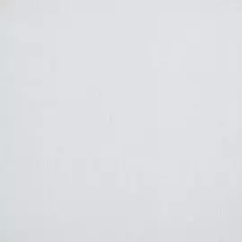 BN 17839 Обои BN (Dutch Masters) (1*12) 10,05x0,53 винил на флизе