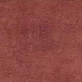 BN 17927 Обои BN (Curious) (1*12) 10,05x0,53 винил на флизелине