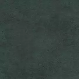 BN 17935 Обои BN (Curious) (1*12) 10,05x0,53 винил на флизелине