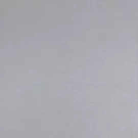 BN 17938 Обои BN (Curious) (1*12) 10,05x0,53 винил на флизелине