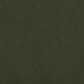 BN 18401 Обои BN (Chacran II) (1*12) 10,05x0,53 винил на флизелине