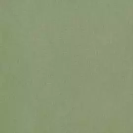 BN 18407 Обои BN (Chacran II) (1*12) 10,05x0,53 винил на флизелине