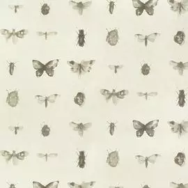 BN 18433 Обои BN (Chacran II) (1*12) 10,05x0,53 винил на флизелине